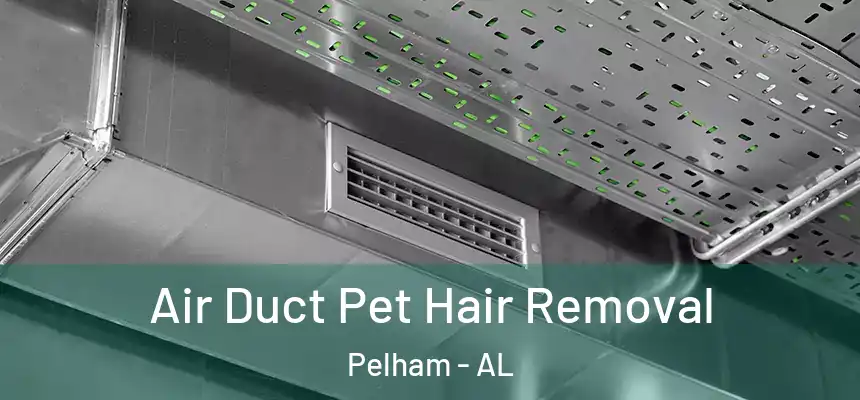  Air Duct Pet Hair Removal Pelham - AL