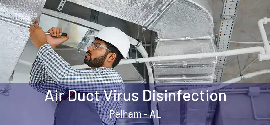  Air Duct Virus Disinfection Pelham - AL