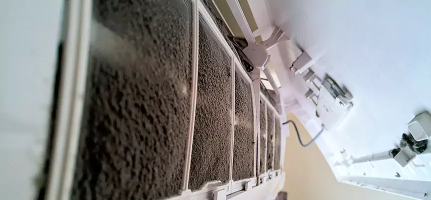 Preventive Air Duct Bacteria Removal in Pelham