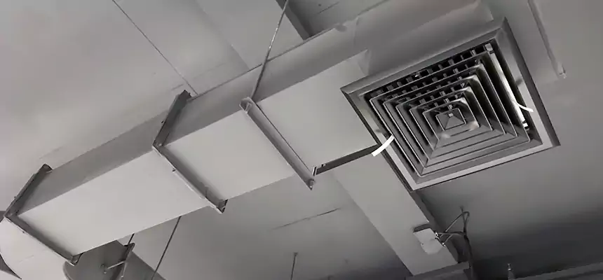 Restorative Allergy Relief Vent Cleaning – Coil, Blower & Housing Detail in Pelham