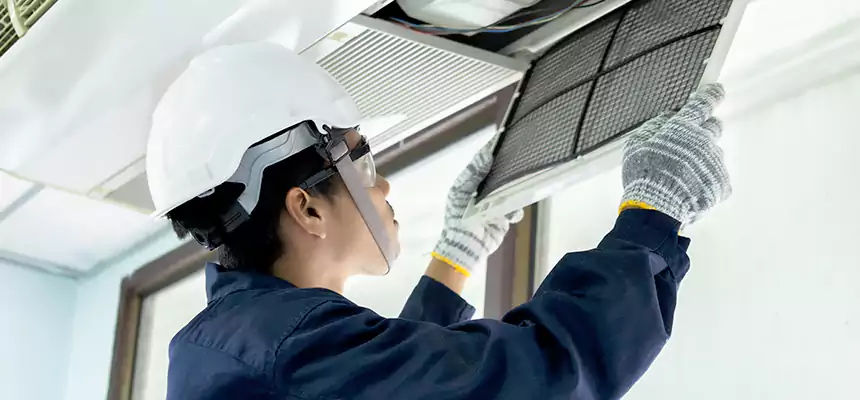 Our Mold & Mildew Removal from Air Ducts Services in Pelham, AL