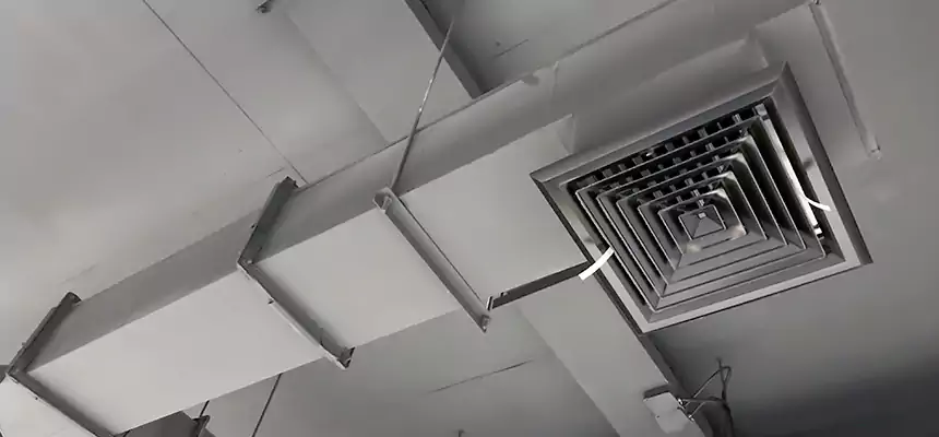 Our Rodent Droppings In Vents Services in Pelham, AL