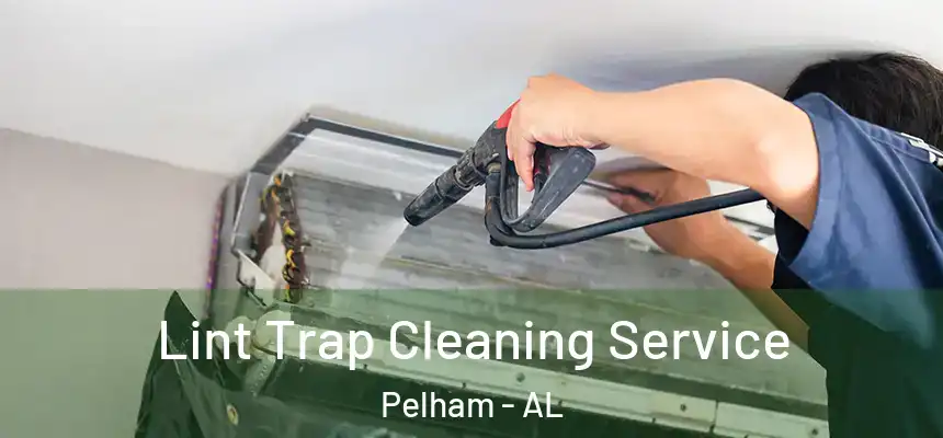  Lint Trap Cleaning Service Pelham - AL