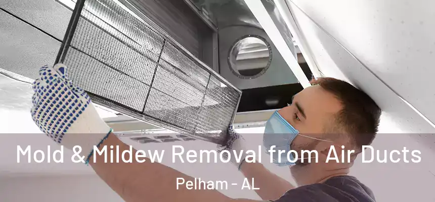 Mold & Mildew Removal from Air Ducts Pelham - AL