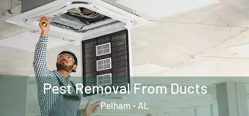  Pest Removal From Ducts Pelham - AL