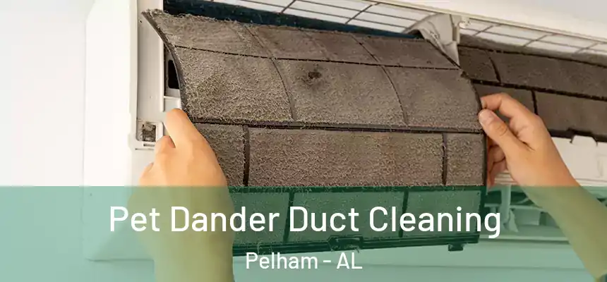 Pet Dander Duct Cleaning Pelham - AL
