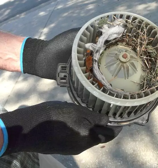 About Air Duct Mice Removal in Pelham, AL