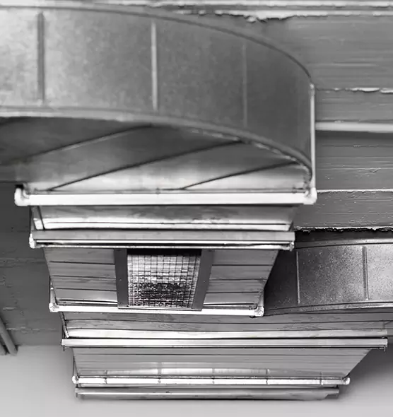 Professional Air Duct Pet Hair Removal in Pelham, AL