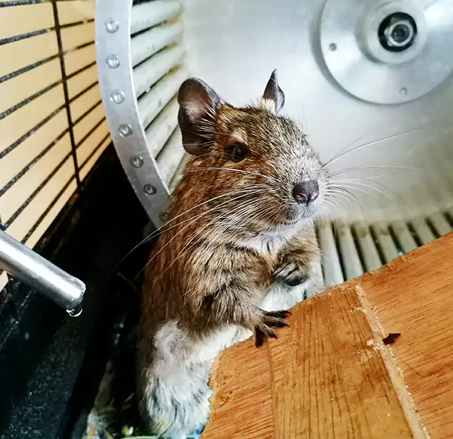 Why Homeowners & Businesses Trust Us Pelham, AL?