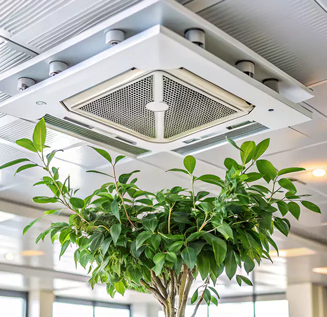 Why Homeowners & Businesses Trust Us in Pelham, AL?